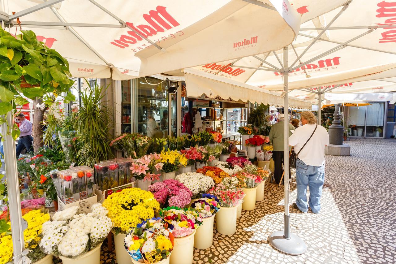 Casa Flamenco Daire Cadiz Dış mekan fotoğraf